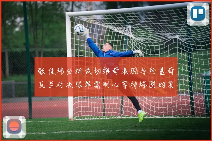 张佳玮分析武切维奇表现与约基奇瓦兰对决绿军需耐心等待塔图姆复出