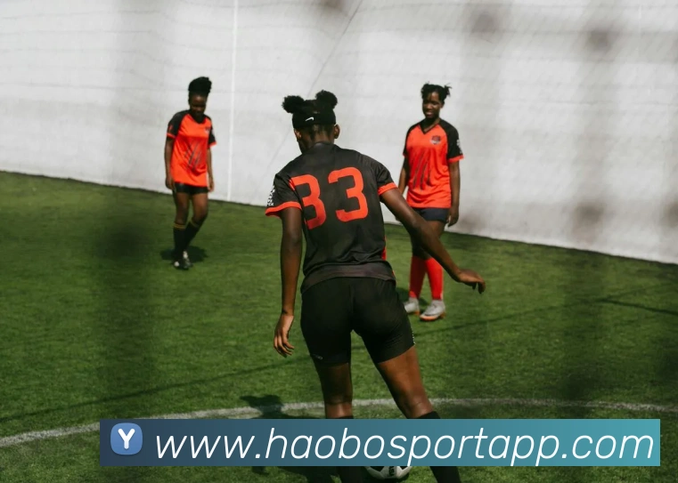 好博体育平台生态图